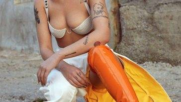 Halsey Nude LEAKED The Fappening & Sexy (206 Photos, Porn Video & Sexy Edits) [Updated] on leakfanatic.com