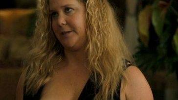 Amy Schumer Nude Scene In Snatched Movie 13 FREE VIDEO on leakfanatic.com