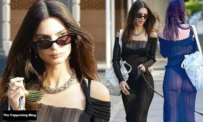 Emily Ratajkowski Bares It All in a See-Through Dress While Out Walking Her Dog in New York - New York on leakfanatic.com