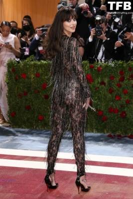 Dakota Johnson Stuns in a See-Through Outfit at The 2022 Met Gala in NYC on leakfanatic.com