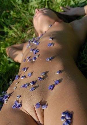 Completely naked teen Nikki D covers herself with petals from wildflowers on leakfanatic.com