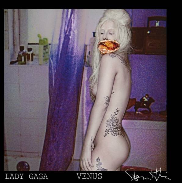 Lady Gaga (ladygaga) Nude OnlyFans  (15 Photos) on leakfanatic.com