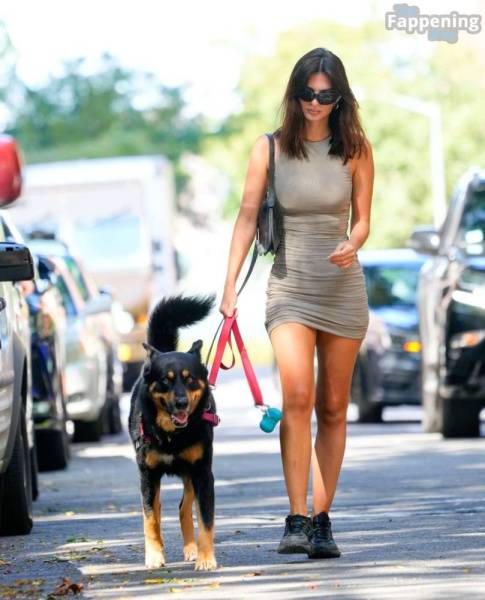 Emily Ratajkowski Looks Hot in a Mini Dress While Walking Her Dog in NYC (32 Photos) on leakfanatic.com