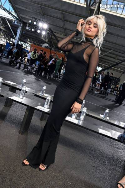 Camila Cabello Shows Off Her Pokies in a Black Dress at the Off-White Fashion Show (82 Photos) on leakfanatic.com